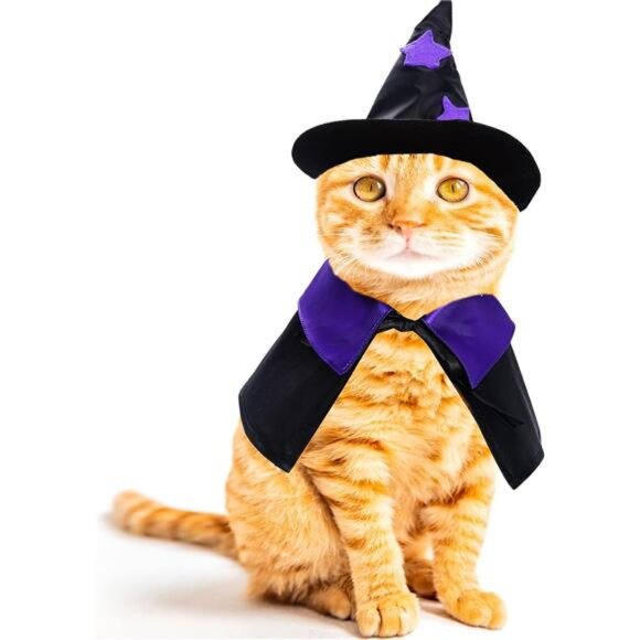 Dxhycc Halloween Pet Costume Cat Wizard Costume Funny Wizard Cat Clothes Cloak - Picture 5 of 8